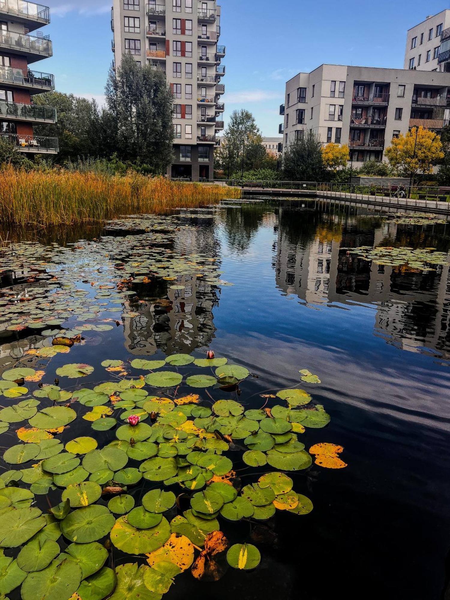 Lake Park Apartament With Free Parking Airport Netflix Apartment Warsaw Exterior photo